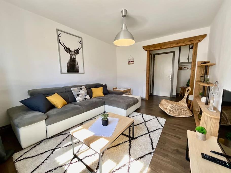 Epicea, Bel Appartement Avec Balcon Au Centre Ville Жерарме Екстер'єр фото