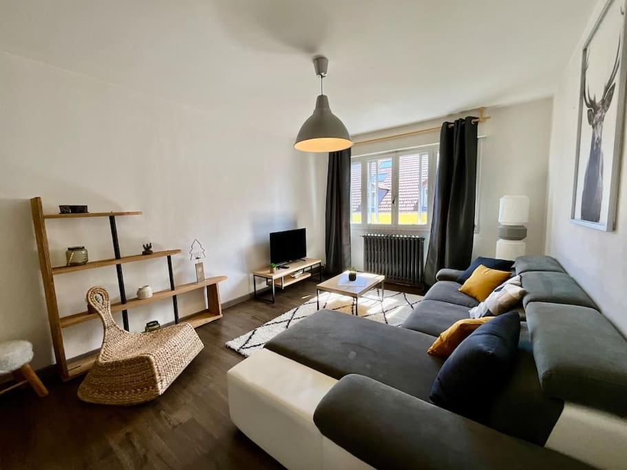 Epicea, Bel Appartement Avec Balcon Au Centre Ville Жерарме Екстер'єр фото